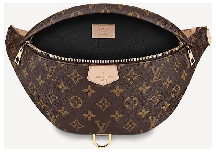 Louis Vuitton LV Bumbag