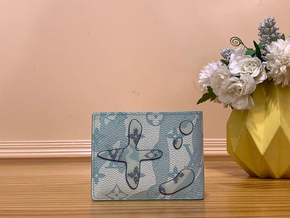 Louiss vuitton pocket